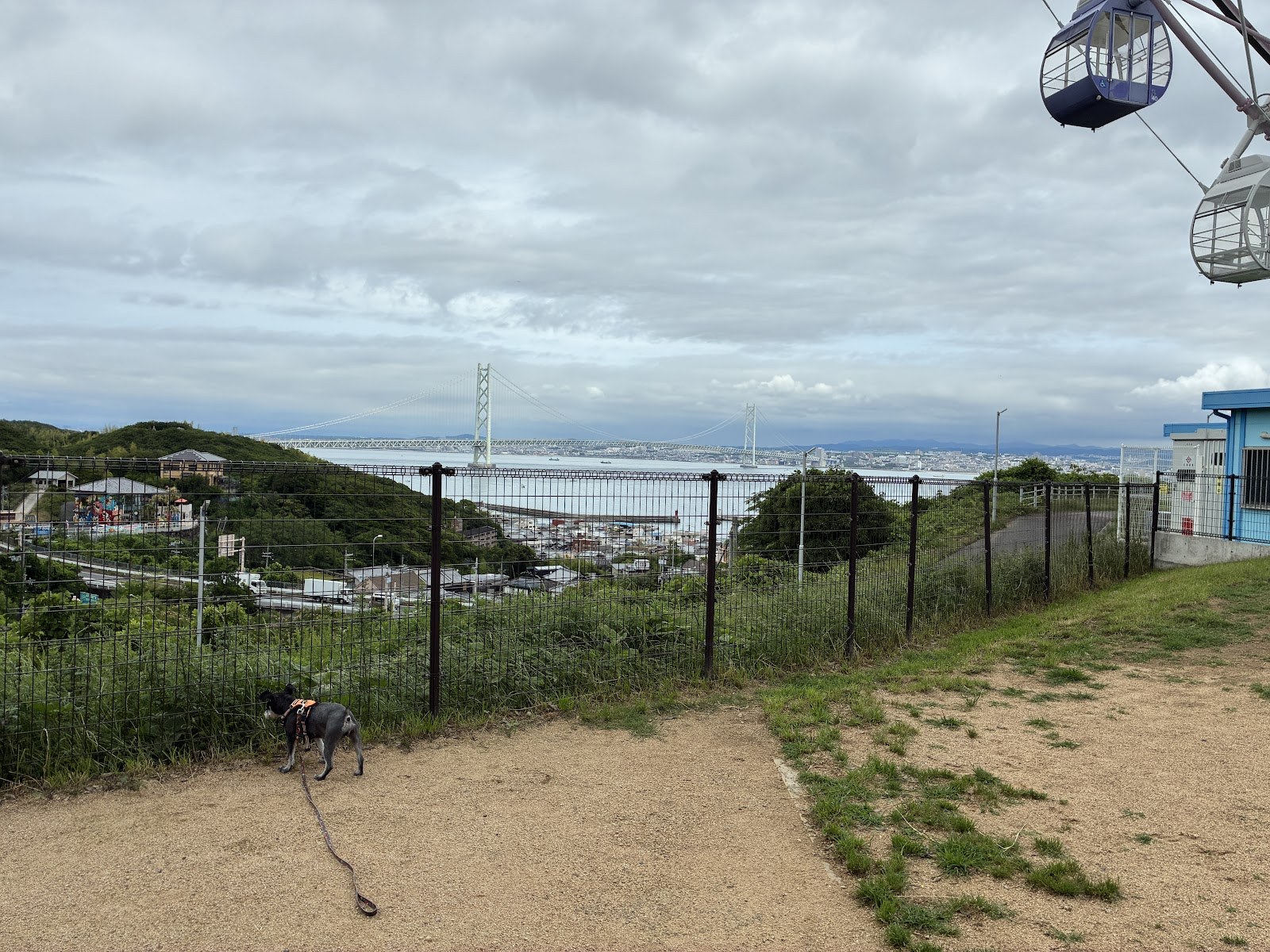 高台のドッグラン。フェンスの向こうに海と明石海峡大橋