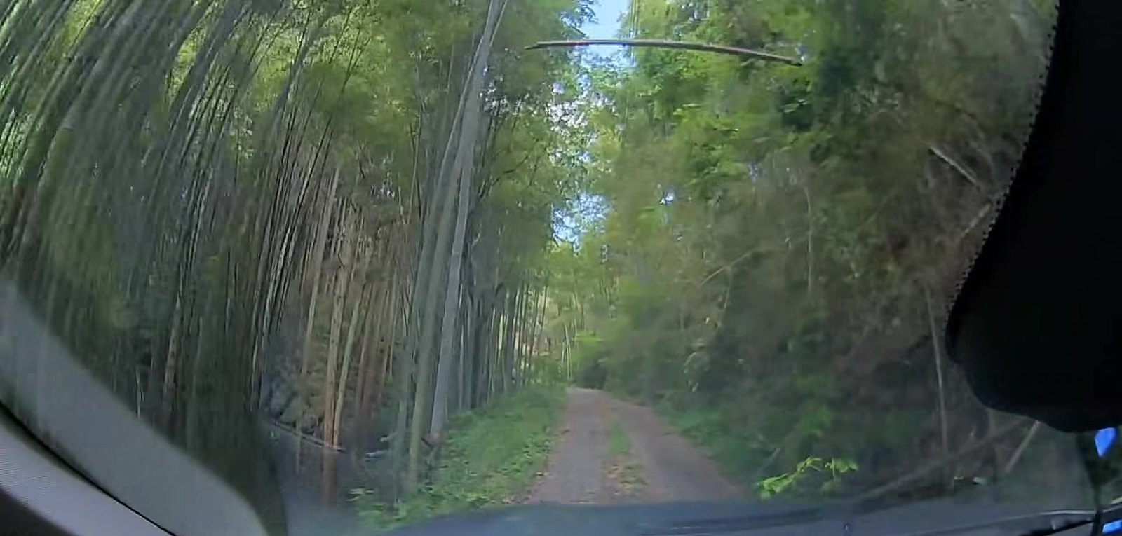 竹やぶの中の未舗装の道。ドライブレコーダーの映像から