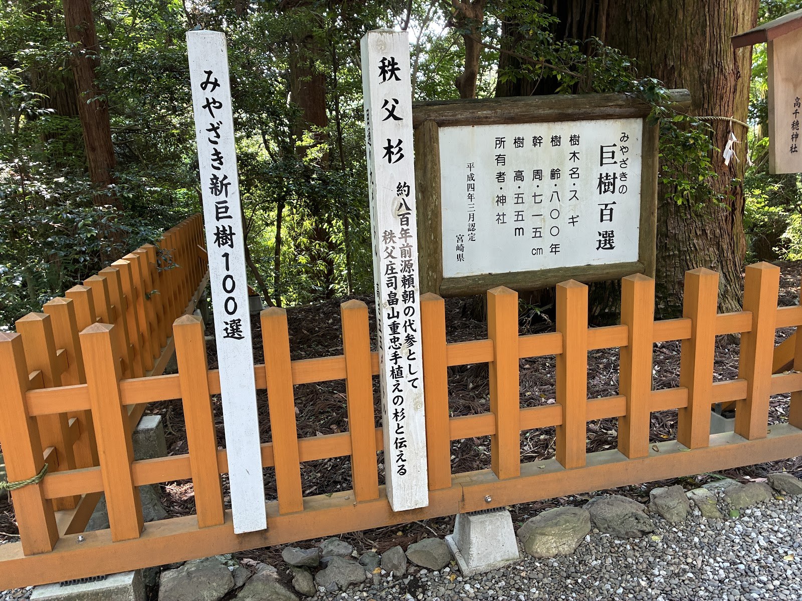 秩父杉の標柱と巨樹百選の解説板