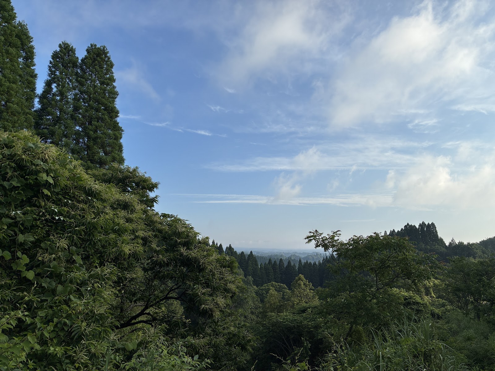 朝の五ヶ瀬の山なみと、うっすらかかった雲