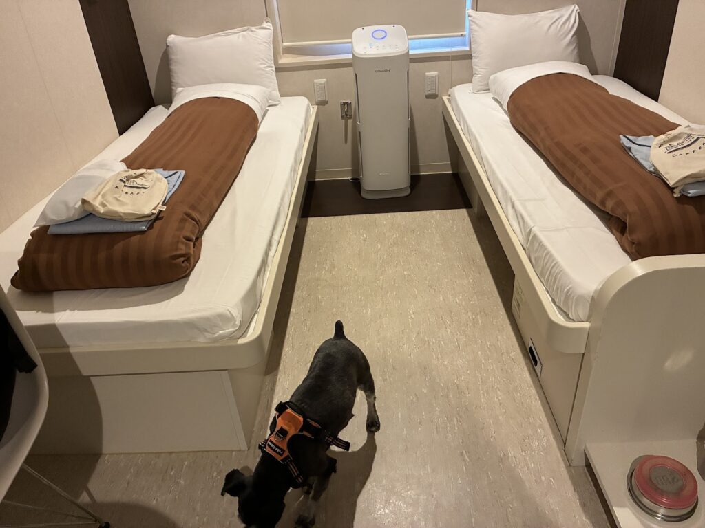 フェリーの客室。ベッドが2台並び、床に犬が立っている