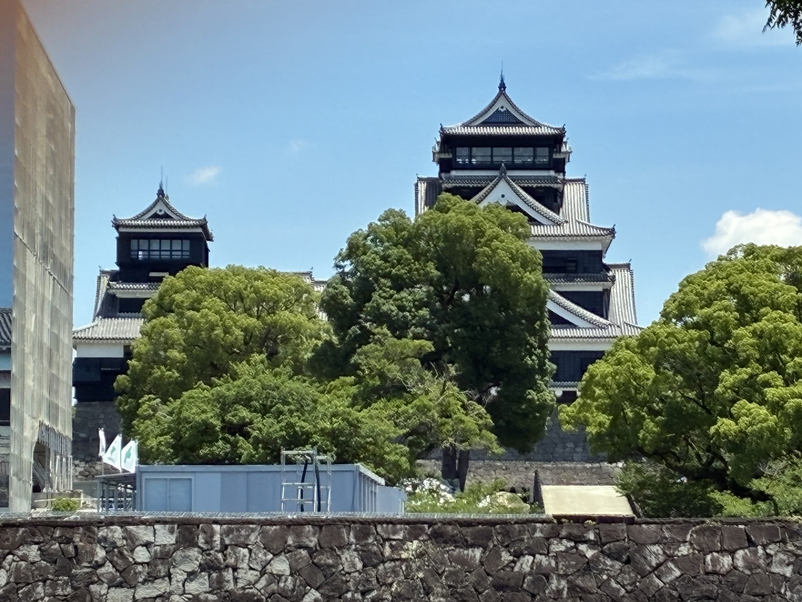 木立の向こうに見える熊本城の大天守と小天守