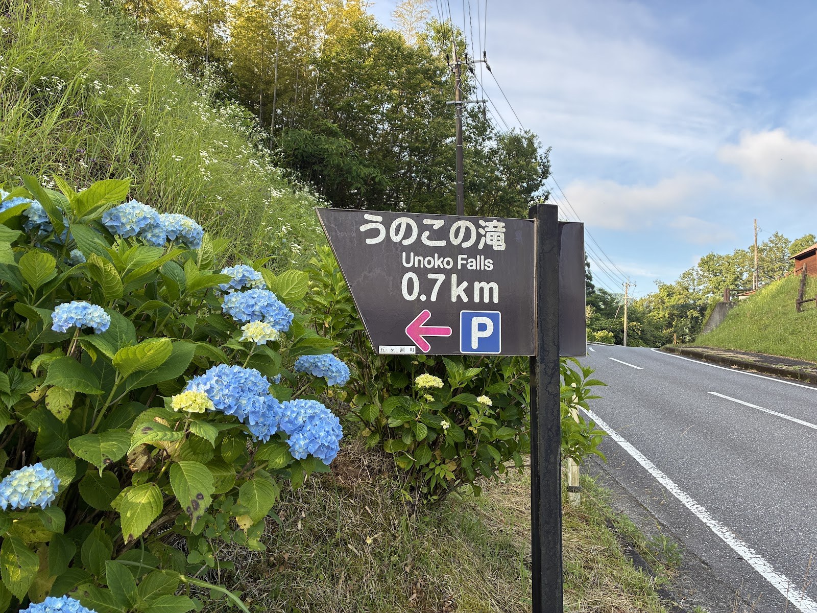 「うのこの滝 Unoko Falls 0.7km」と書かれた道路標識とあじさい