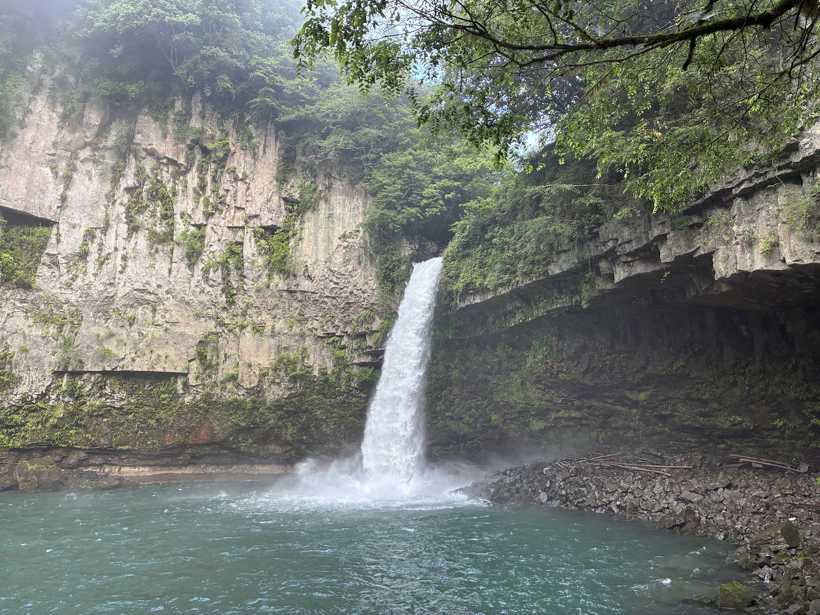 岩壁から一条に落ちるうのこの滝と、緑色の淵
