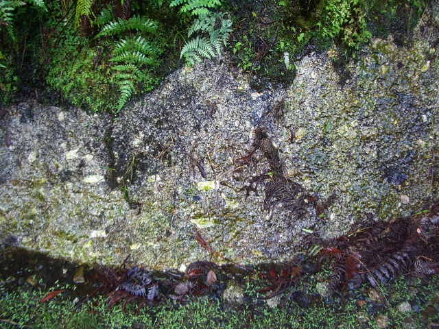 白い長方形の結晶が見える花崗岩の表面
