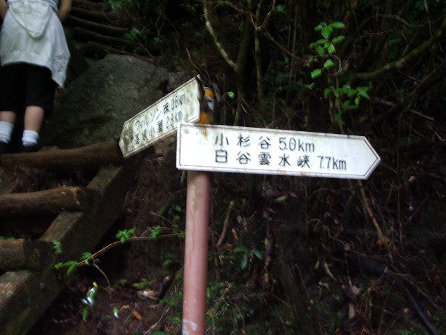 「小杉谷5.0km 白谷雲水峡7.7km」の道標