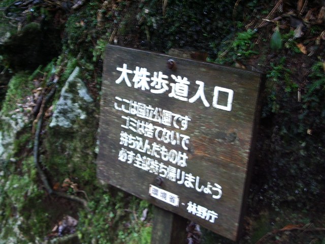 「大株歩道入口」の看板