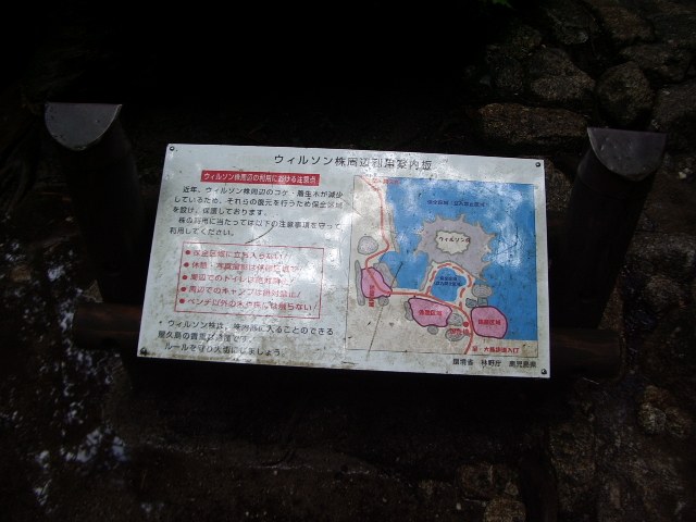 ウィルソン株の説明板