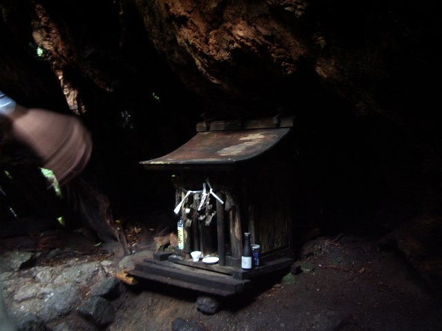 ウィルソン株の内部にある祠