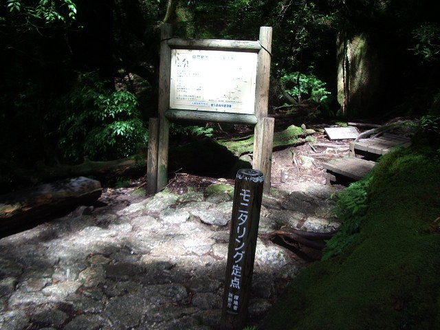 登山道に立つ「モニタリング定点」の標識と木の階段