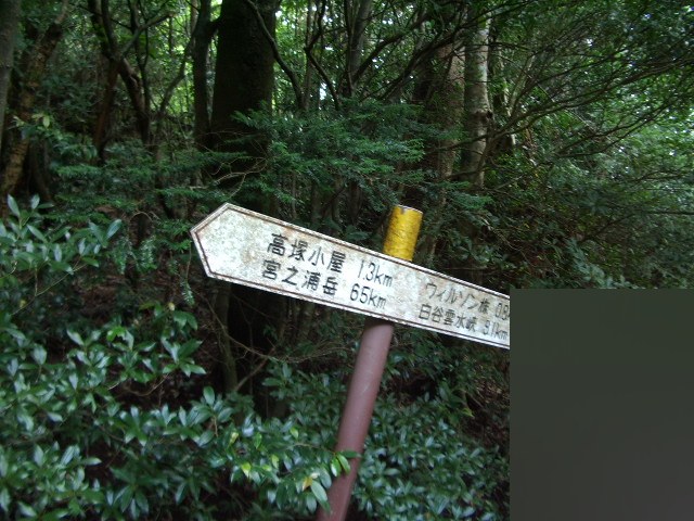 登山道の道標