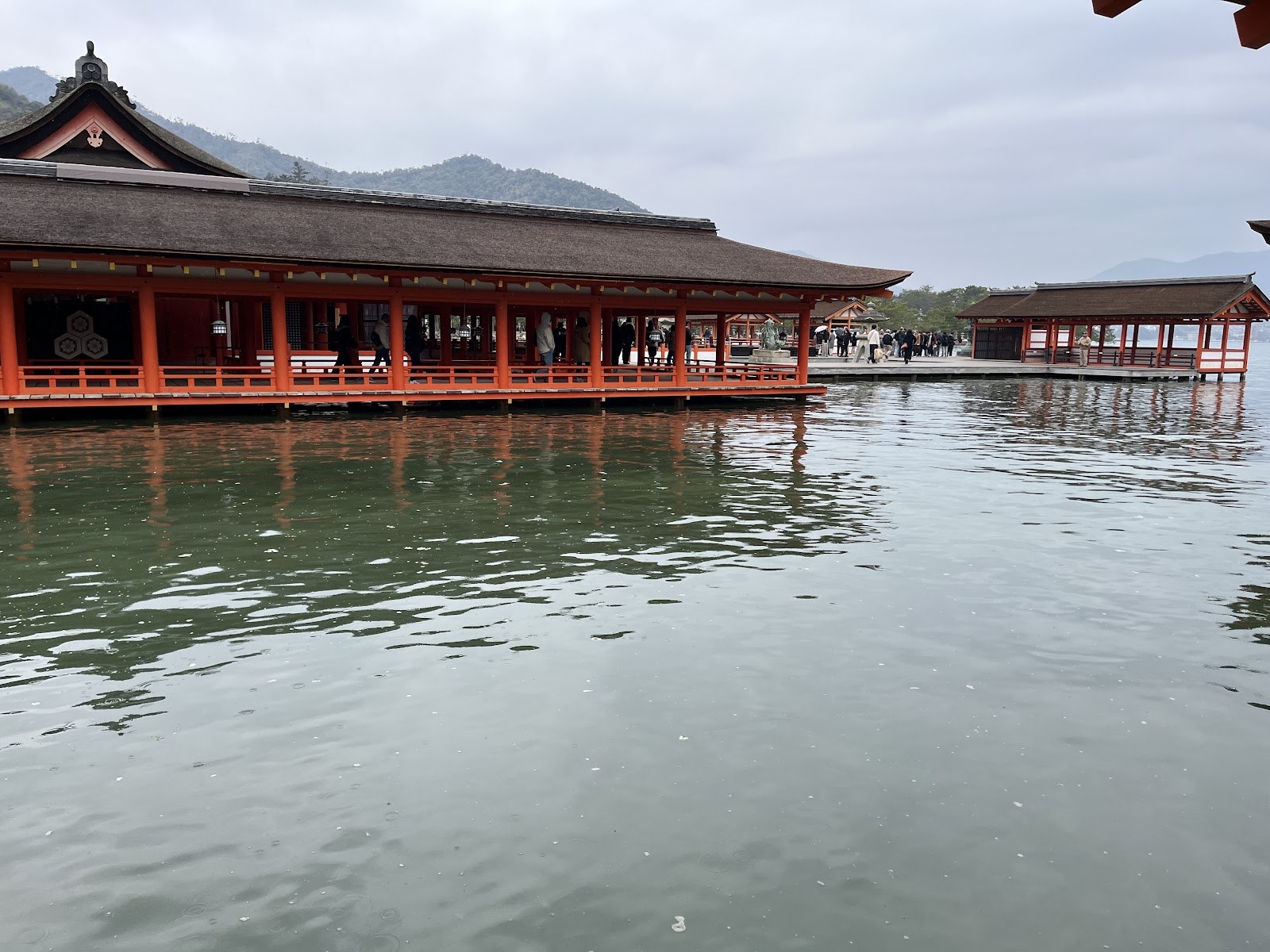 満潮で海に浮かんで見える厳島神社の社殿
