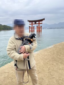 満潮の大鳥居を背に犬を抱いて立つ人
