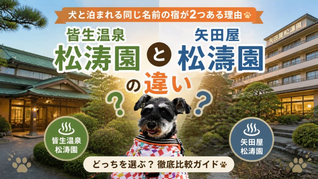 山陰の犬連れ旅