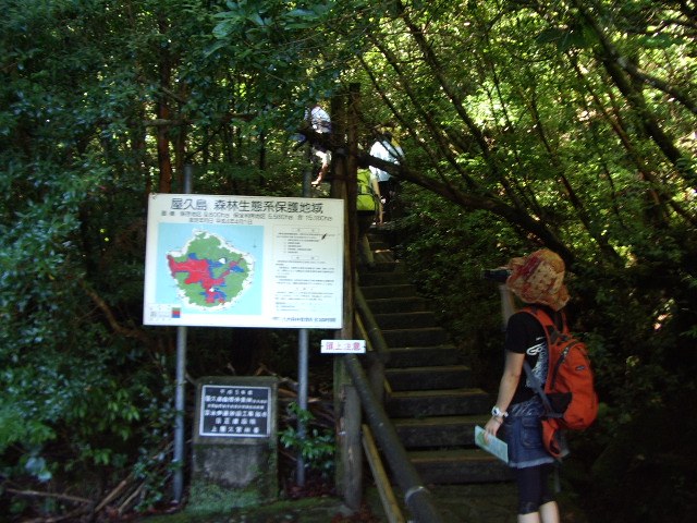 森林生態系保護地域の説明板と、階段を上る登山者