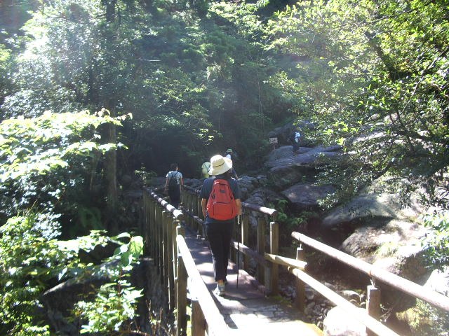 木の柵のある登山道を歩く人
