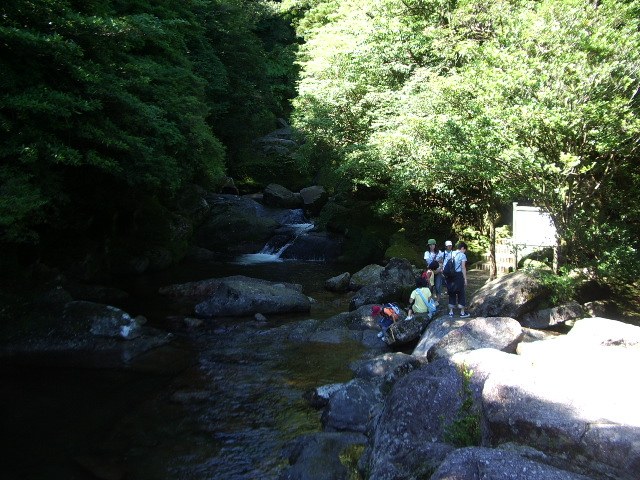 沢と、そのそばを歩く人