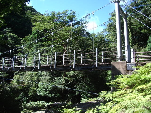 谷にかかる吊橋