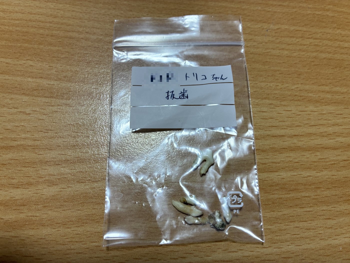 動物病院から返された、抜いた歯の入った小袋