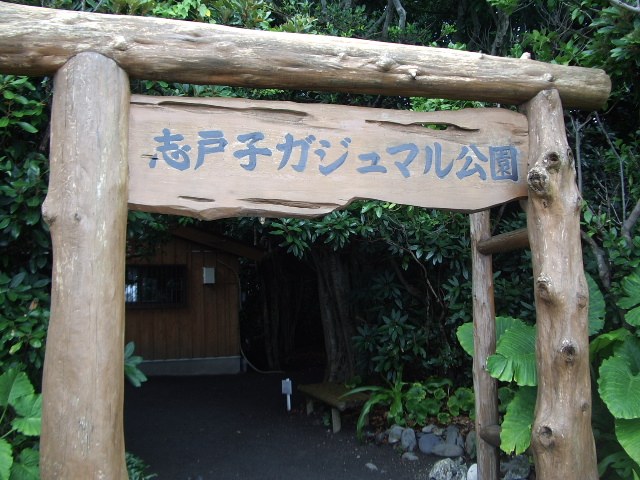 「志戸子ガジュマル公園」と書かれた木の門