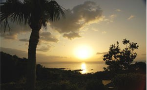 客室の窓から見える海と夕日
