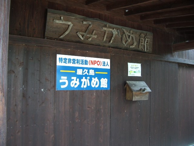 「うみがめ館」の木の看板