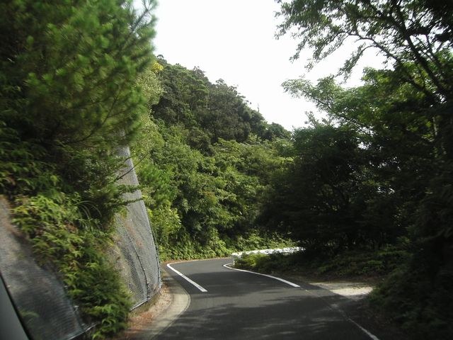 木々に囲まれた西部林道の道路