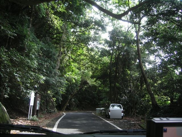 林道を走る対向車